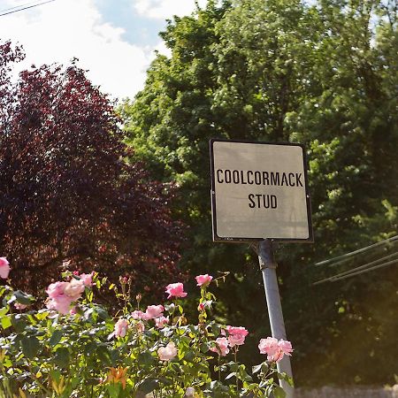 Coolcormack Stud B&B Dungarvan  Εξωτερικό φωτογραφία