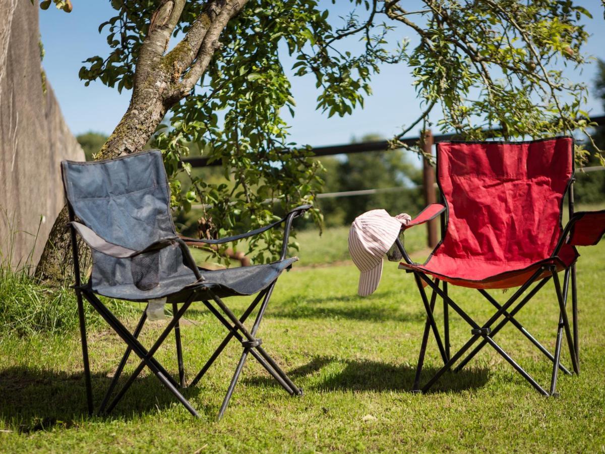 Coolcormack Stud B&B Dungarvan  Εξωτερικό φωτογραφία